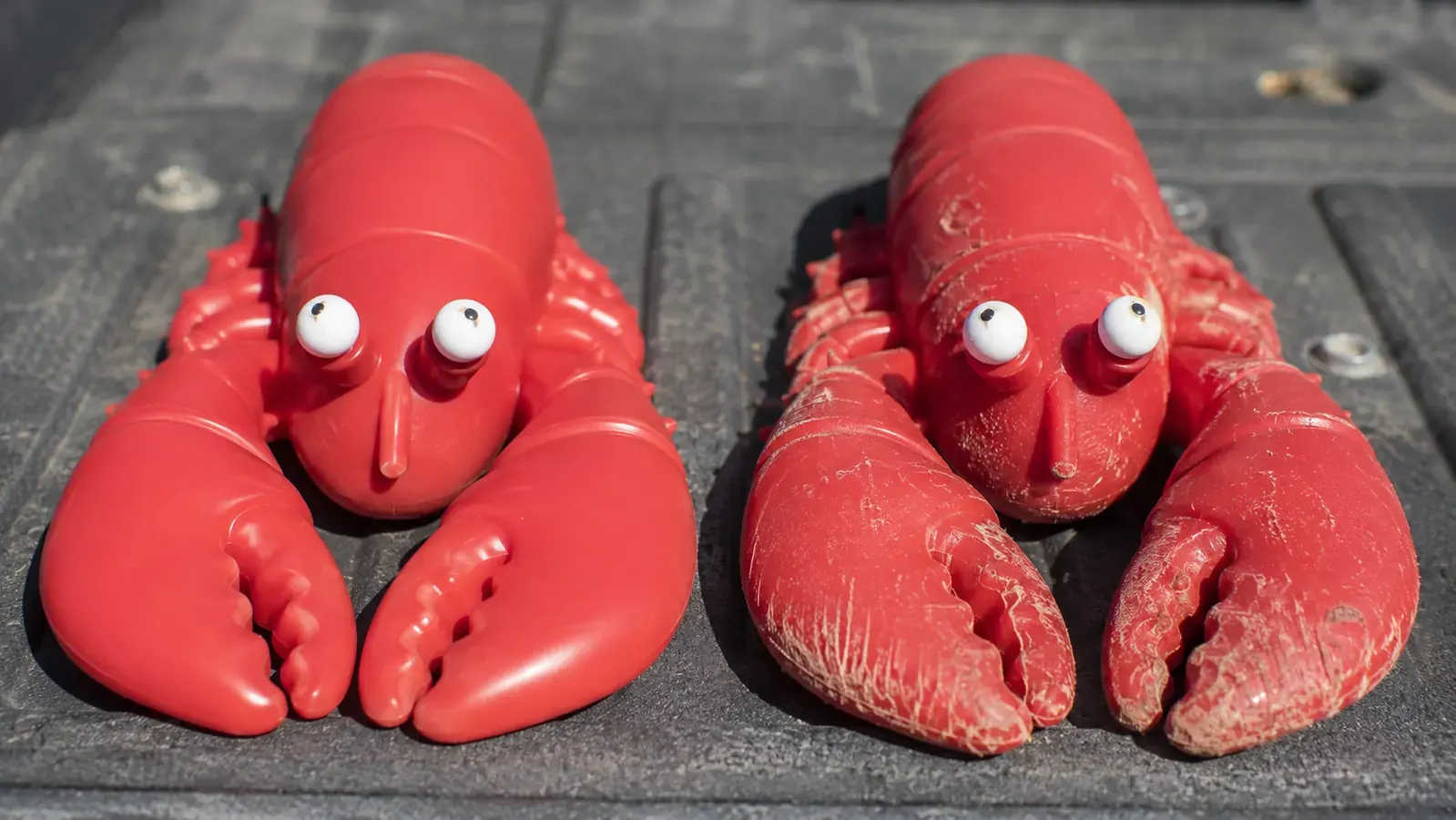 A new red lobster power chew next to a well-worn one on a truck tailgate, showing surface wear over time